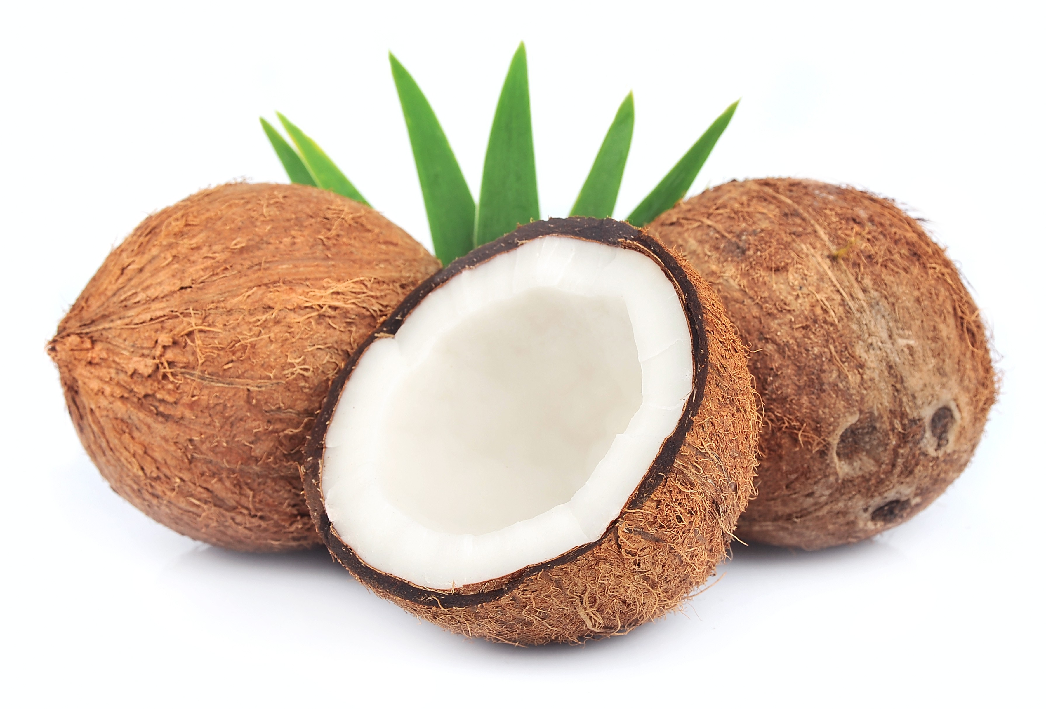 10-ml-arome-noix-de-coco-fa-coco-flavor-coconut.