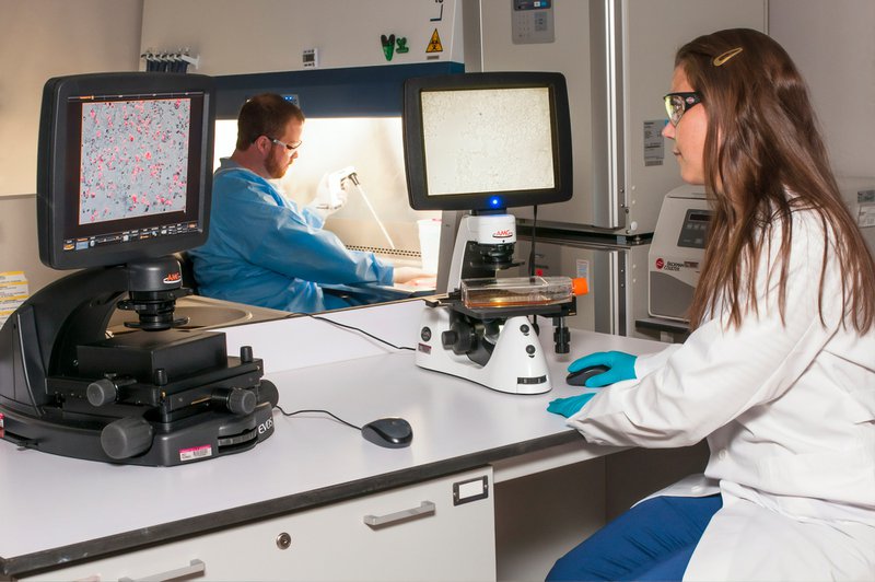 A technician viewing a blot on a fluorescence microscope while another technician is using a pipette at the Advanced Technology Research Facility (ATRF), Frederick National Laboratory for Cancer Research, National Cancer Institute.